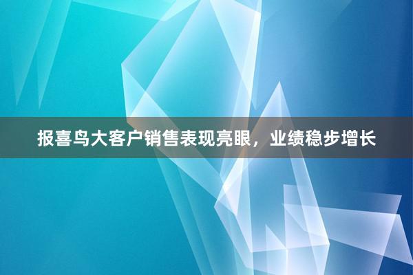 报喜鸟大客户销售表现亮眼，业绩稳步增长